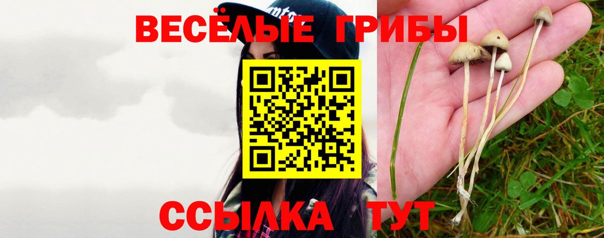 Галлюциногенные грибы Cubensis Щёлково